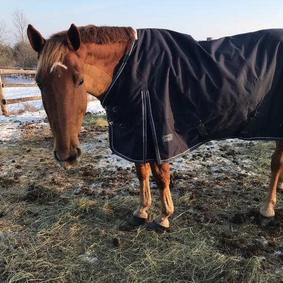 Meet your Posher, Steph - Picture 1 of 1